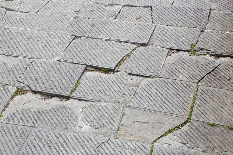 Inside Paver Cracks