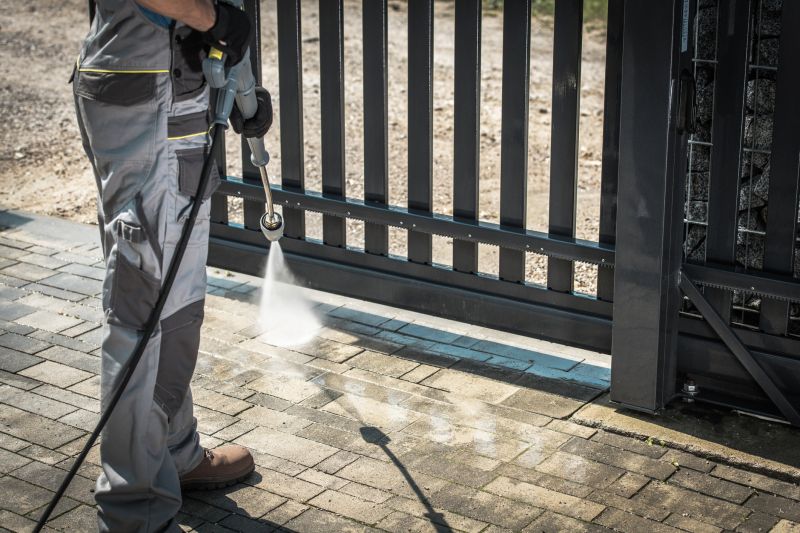 Professional Pavers Cleaning